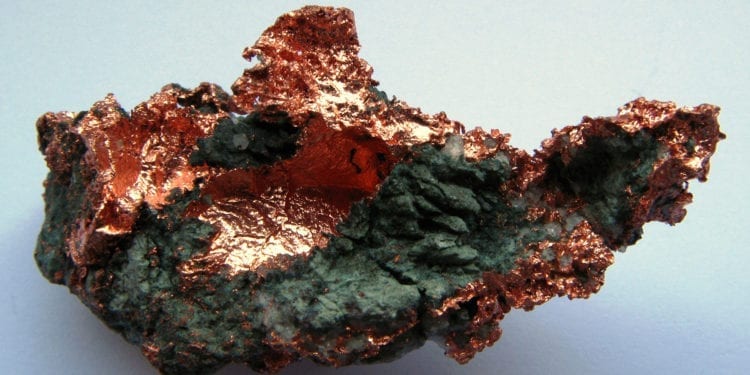 Copper Resilient Despite US Dollar Gains