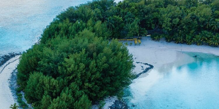Question Corner: Ocean Minerals Exploring the Seafloor in The Cook Islands