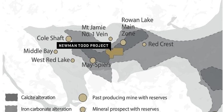 Trillium Receives Further High-Grade Gold Results At Newman Todd