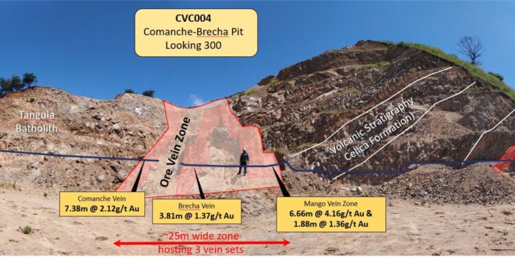 Titan Minerals Identifies Significant Gold Grades In Channel Sampling At Dynasty