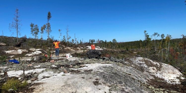 Grid Metals Bids For New Lithium Pegmatite Discovery In Ontario