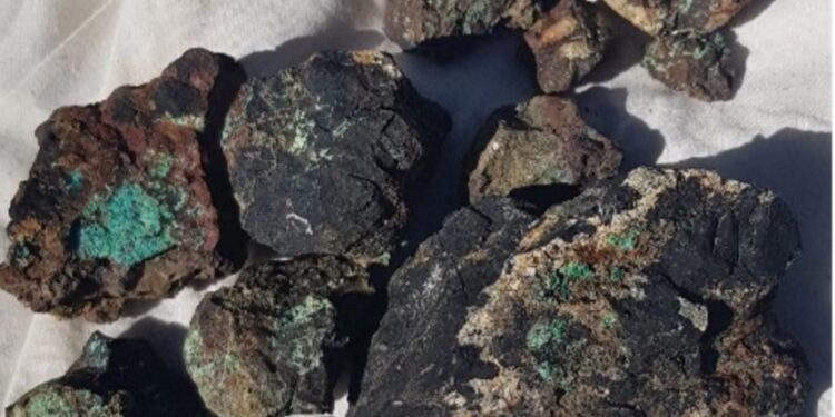 Coda Minerals Identifies Copper-Gold Target Zones At Cameron River