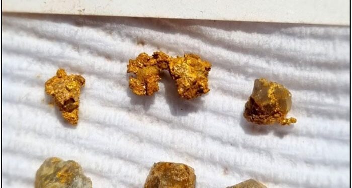 Musgrave Minerals Hits Gold Bonanza At Big Sky