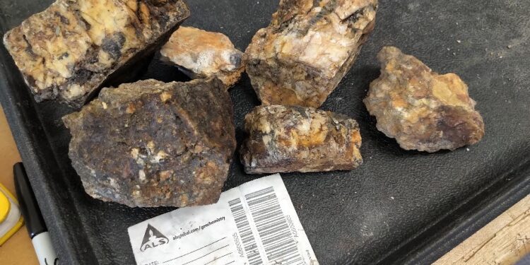 Prospect Ridge Samples 49.2 g/t Gold At New Holy Grail Property