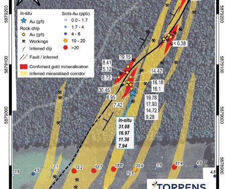 Torrens Grabs Gold In Rock Chip Up To 31g/t Au At Goldie Prospect