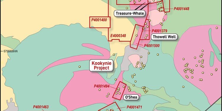 IRIS Confirms High-Grade Gold Potential At Kookynie Project
