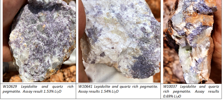 Novo Identifies Significant Lithium-Tantalum Mineralisation Identified In WA