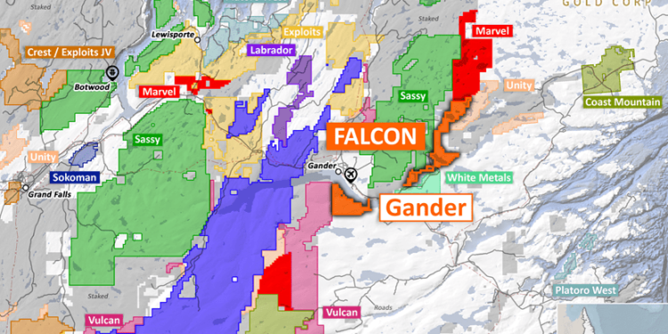 Falcon Gold Swoops Down on Gander North Project