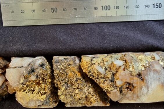 Peregrine Swoops With Spectacular Gold Mineralisation Hits At Peninsula Prospect