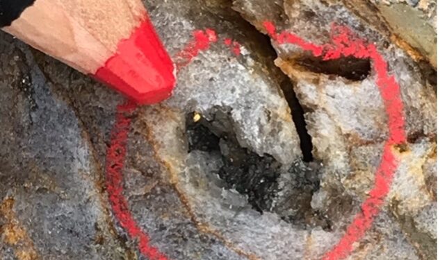 Vertex Identifies Visible Gold At Red Hill In NSW