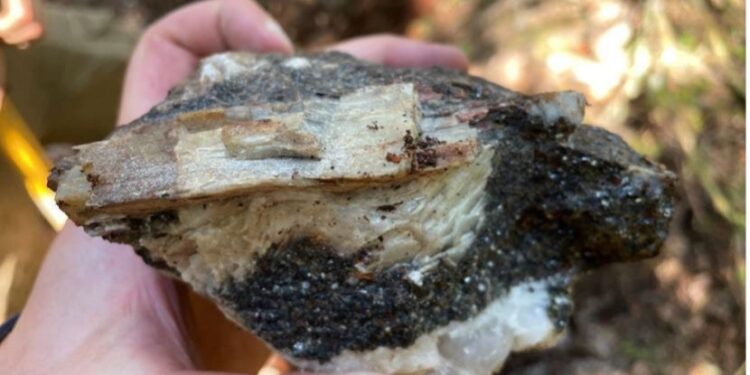 Balkan Collects Exceptional Rock Samples At Gorge Lithium Project In Ontario