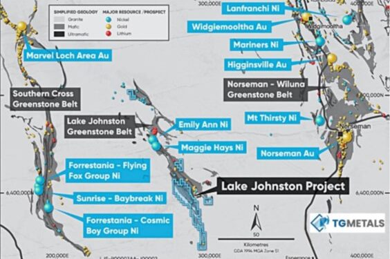 TG Metals Defines Priority Nickel Sulphide Targets At Lake Johnston