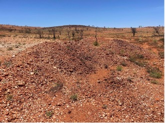 Accelerate Identifies Large Pegmatites at East Pilbara Lithium Project