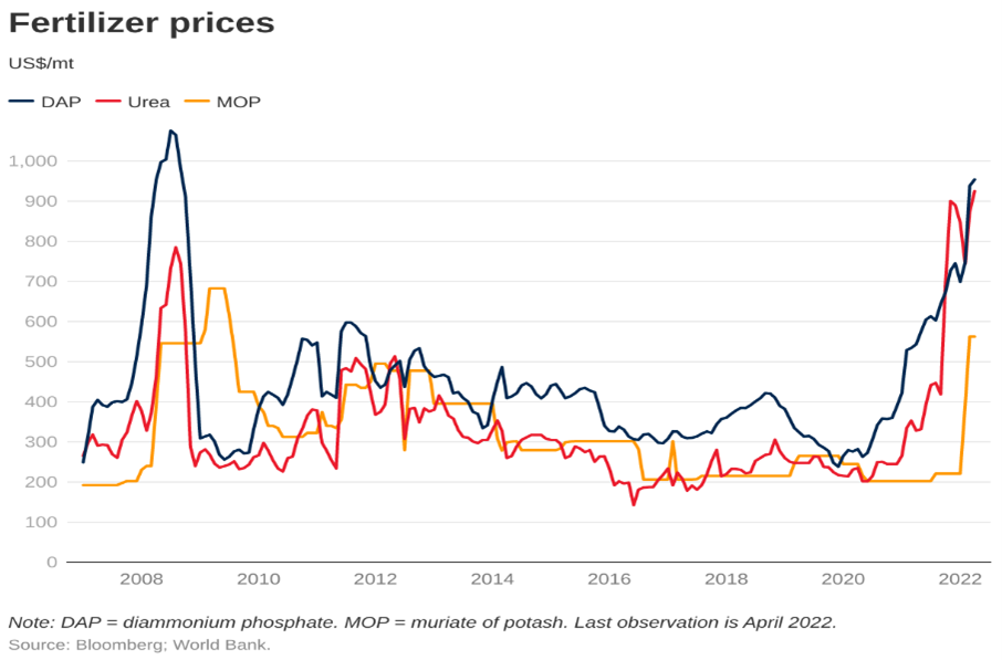 Potash Mining & Marketing Outlook