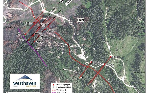Westhaven Gold Drills Wide Zones Of Mineralisation At Shovelnose