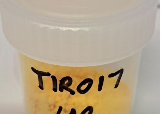 Aura has Quality of Tiris Project Uranium Yellowcake Confirmed