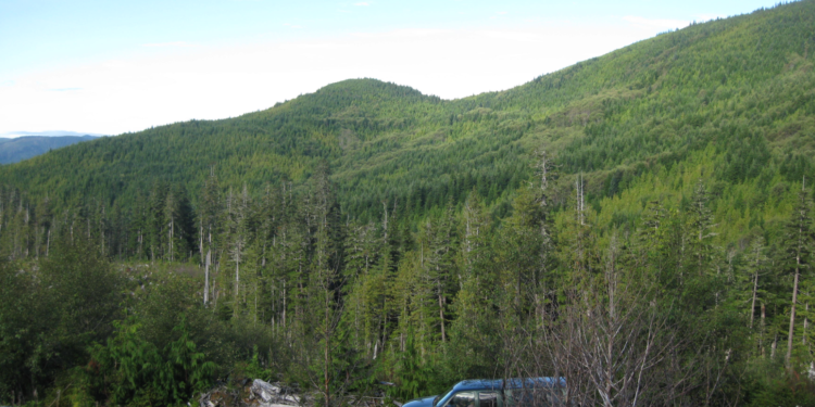 Northisle Copper and Gold Announces Surface Exploration Results at North Island Project