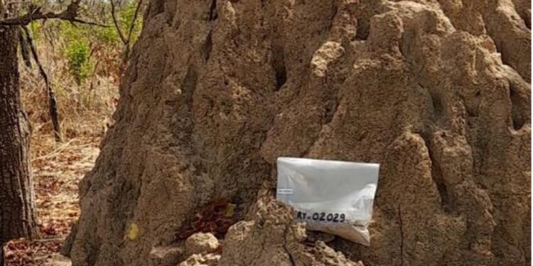 Termites Help Haranga Identify Multiple Uranium Targets in Senegal