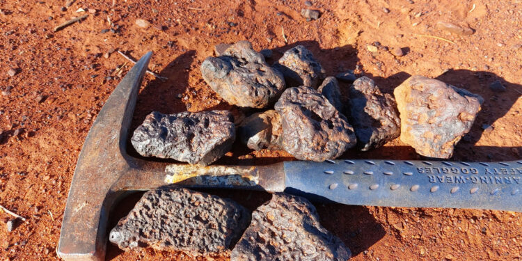 Desert Metals Set For Active Wave of Gold and REE Exploration Programmes