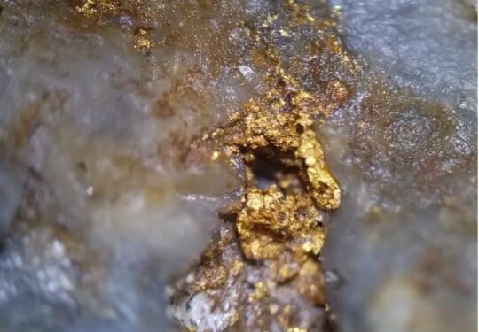 Siren Hits High-Grade Gold at United Victory Reef