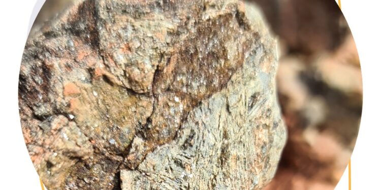 Dynamic Metals  Obtains Significant Widgiemooltha Project Nickel Results