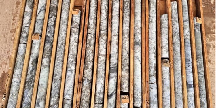 Leo Lithium Obtains Further High-Grade Drilling Results at Goulamina