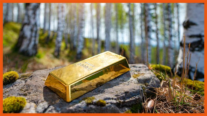 Endomines Submitted an Eu Strategic Project Status Application for Its Southern Gold Line Project